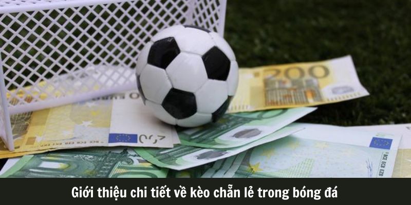Giới thiệu chi tiết về kèo chẵn lẻ trong bóng đá