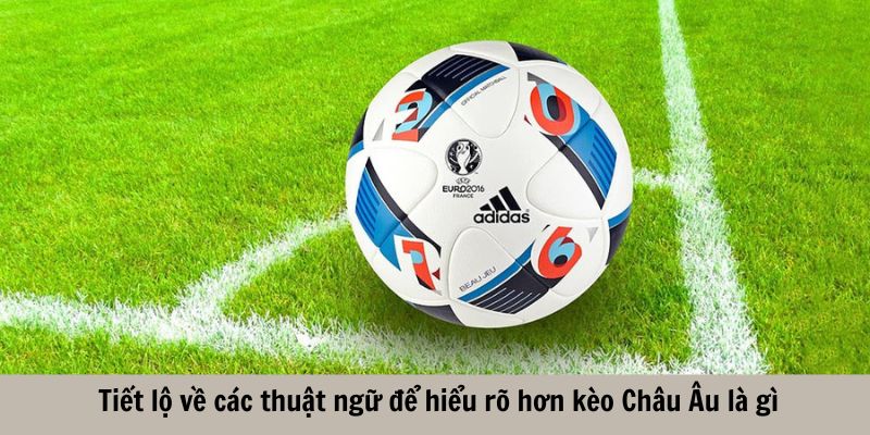 Tiết lộ về các thuật ngữ để hiểu rõ hơn kèo Châu Âu là gì