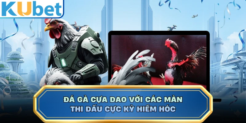 Đá gà cựa dao với các màn thi đấu cực kỳ hiểm hóc