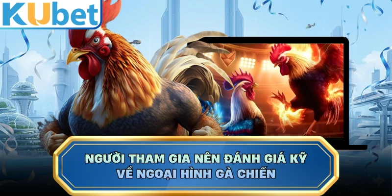 Người tham gia nên đánh giá kỹ về ngoại hình gà chiến